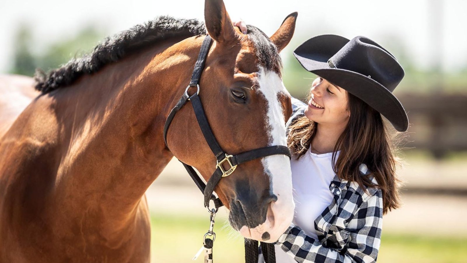 Are Ponies Good for First-Time Riders