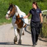 Caring for Ponies: Diet and Exercise Tips