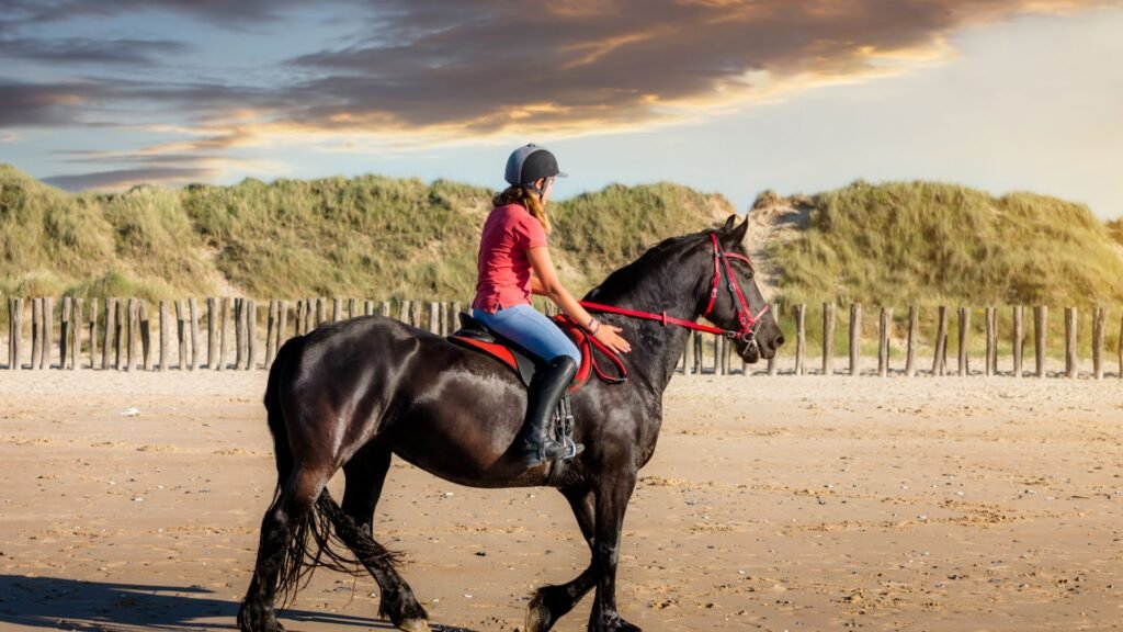 Friesian Horses in Modern Equestrian Sports