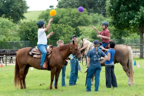 How Ponies Are Used in Therapeutic Riding Programs