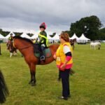How Ponies Excel in Pony Club and Equestrian Competitions