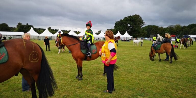 How Ponies Excel in Pony Club and Equestrian Competitions