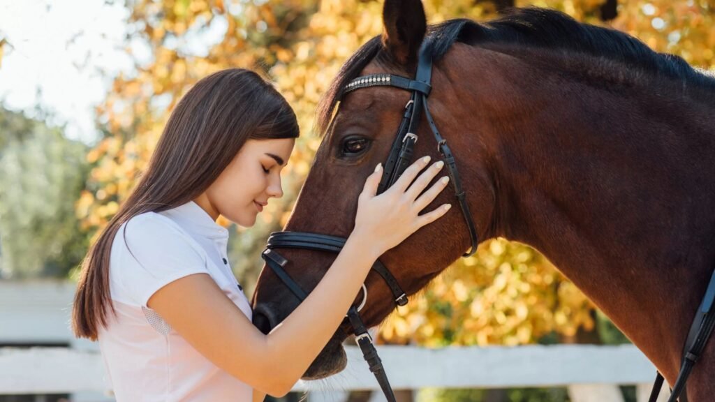 How to Care for Warmblood Horses