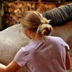 How to Care for a Warmblood: Grooming and Health Tips