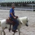 How to Train a Pony for Trail Riding
