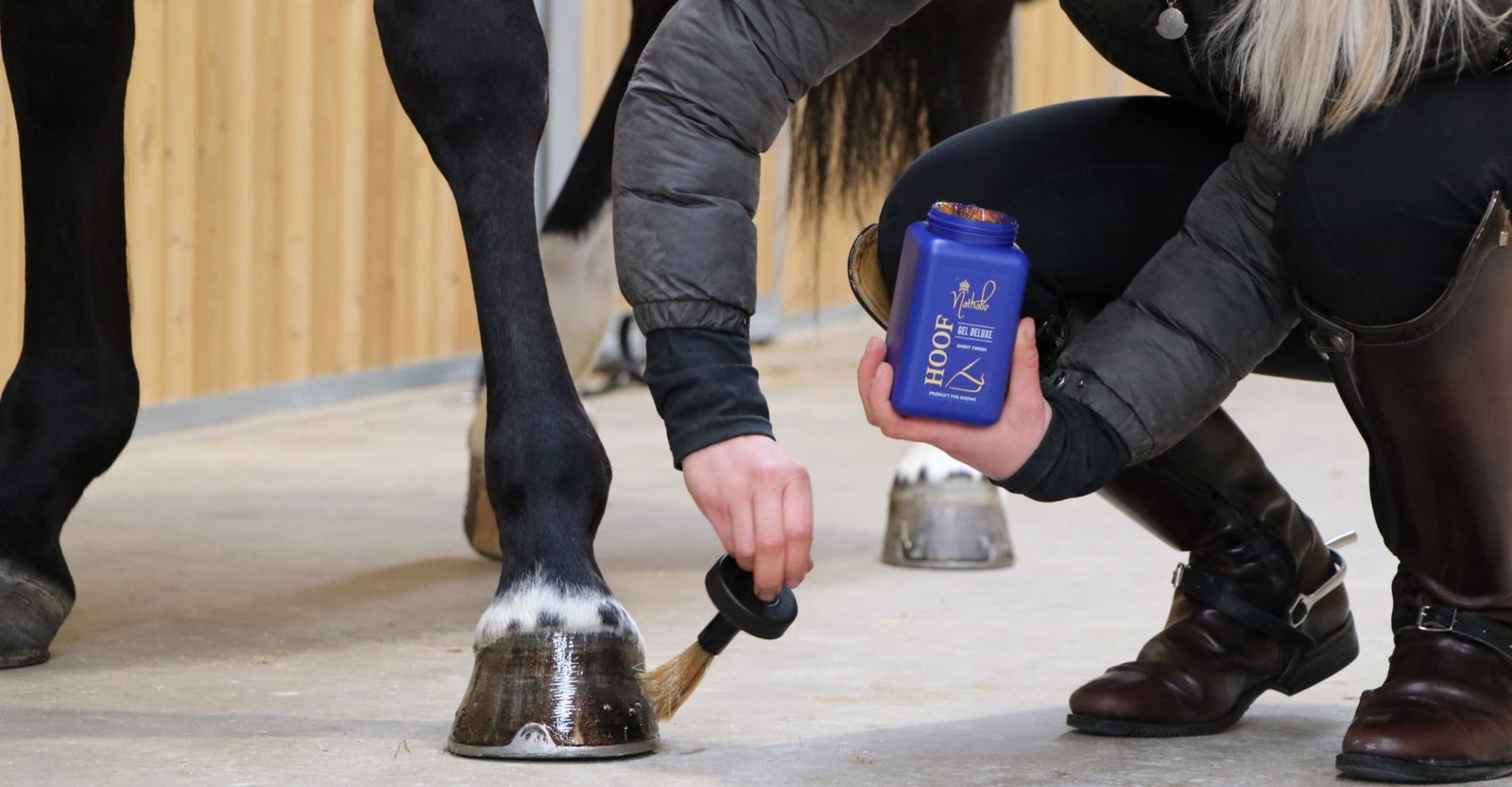 How to Groom and Maintain Your Pony's Coat and Hooves