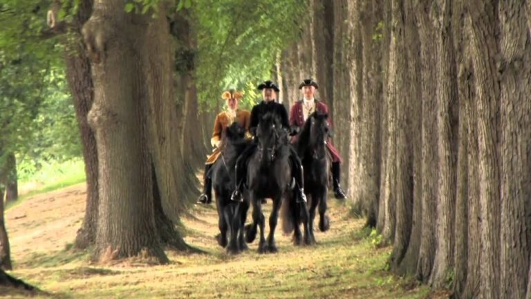 How Friesian Horses Are Used in Film and Media