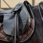 The Best Gear and Equipment for Pony Riders