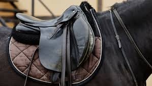 The Best Gear and Equipment for Pony Riders