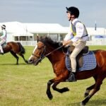 The History of Ponies in Equestrian Sports