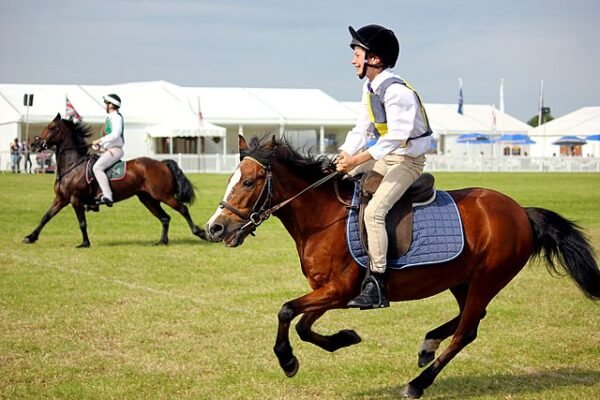 The History of Ponies in Equestrian Sports