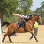 The Role of Ponies in Equestrian Competitions (1)