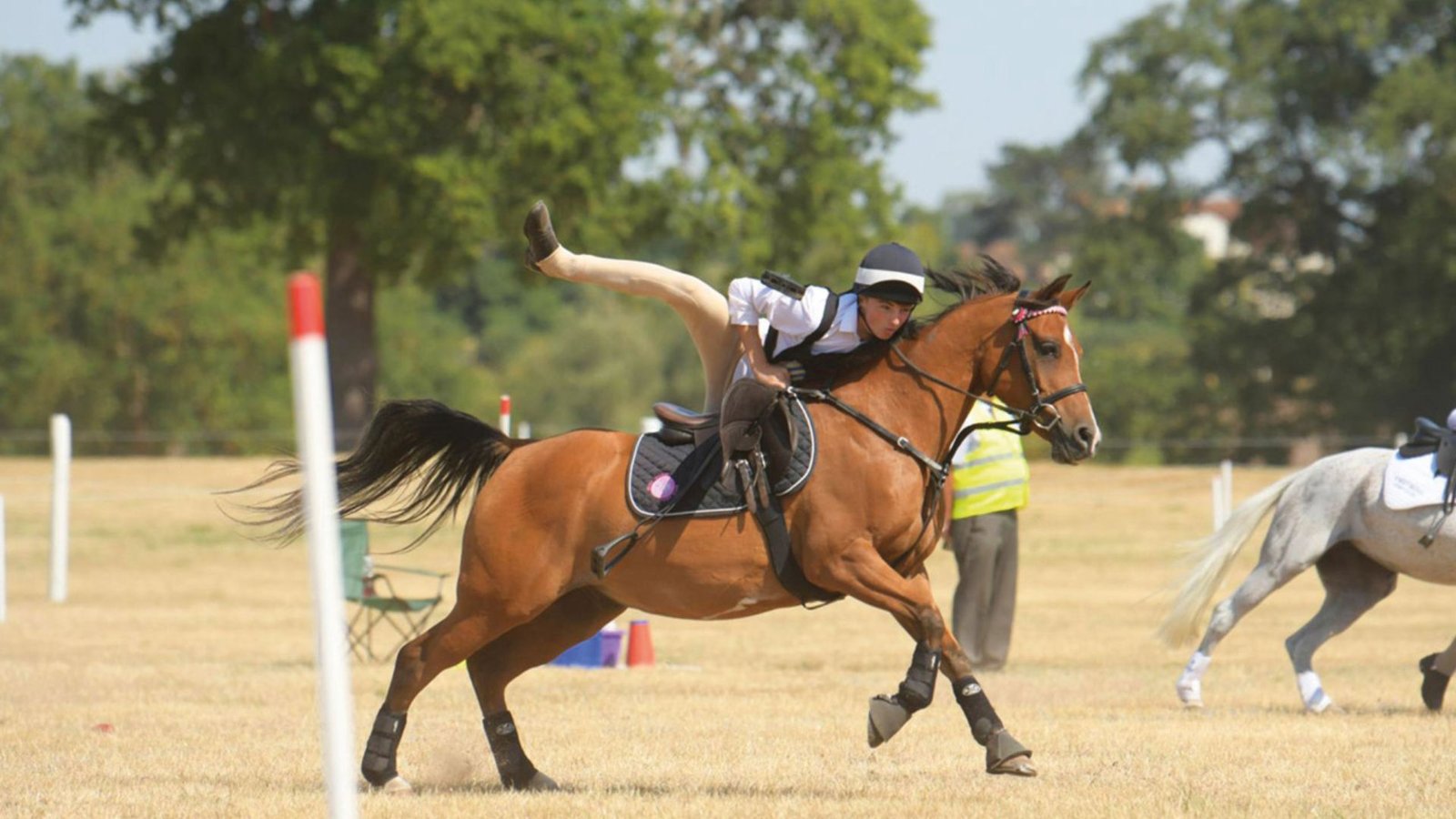 The Role of Ponies in Equestrian Competitions (1)