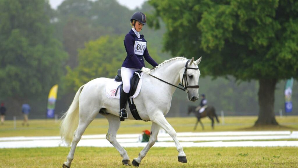 The Role of Ponies in Equestrian Competitions