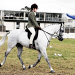 The Role of Ponies in Equestrian Sports