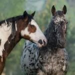 The Versatility of Paint Horses in Equestrian Sports