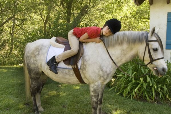 Top Pony Breeds for Children