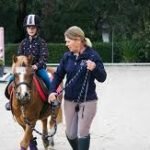 Training Ponies for Beginners