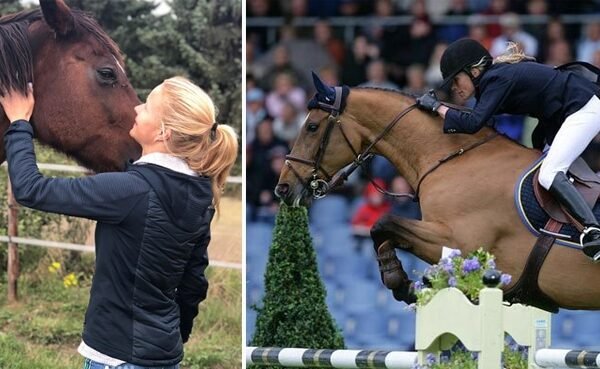 Warmbloods in the Olympics