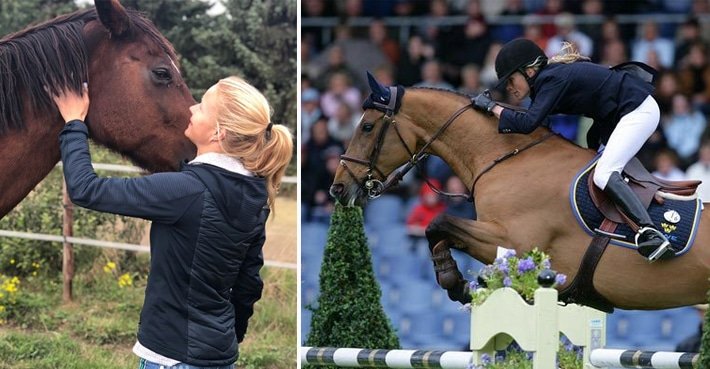 Warmbloods in the Olympics