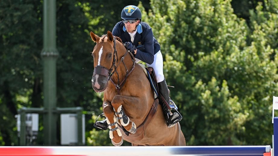 Warmbloods in the Olympics