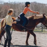 Warmbloods vs. Thoroughbreds: Which is Best for Your Riding Style?