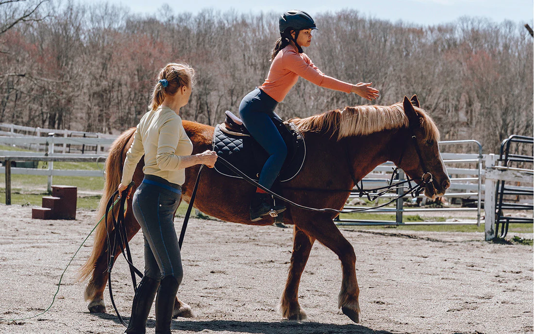 Warmbloods vs. Thoroughbreds: Which is Best for Your Riding Style?