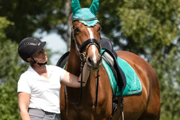 What Makes Warmbloods Ideal for Equestrian Sports?