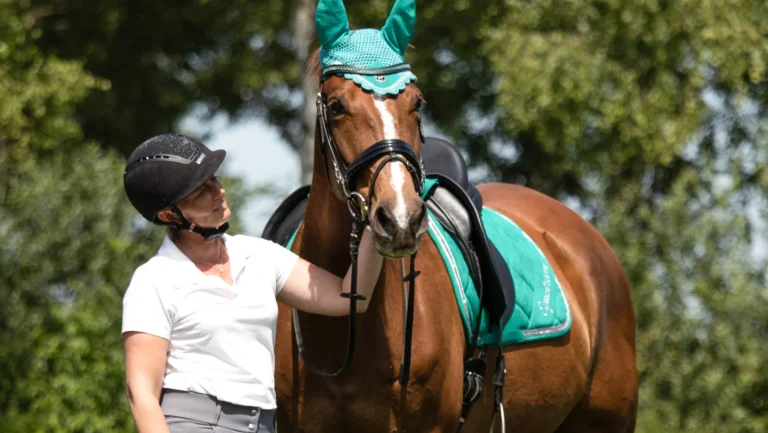 What Makes Warmbloods Ideal for Equestrian Sports?