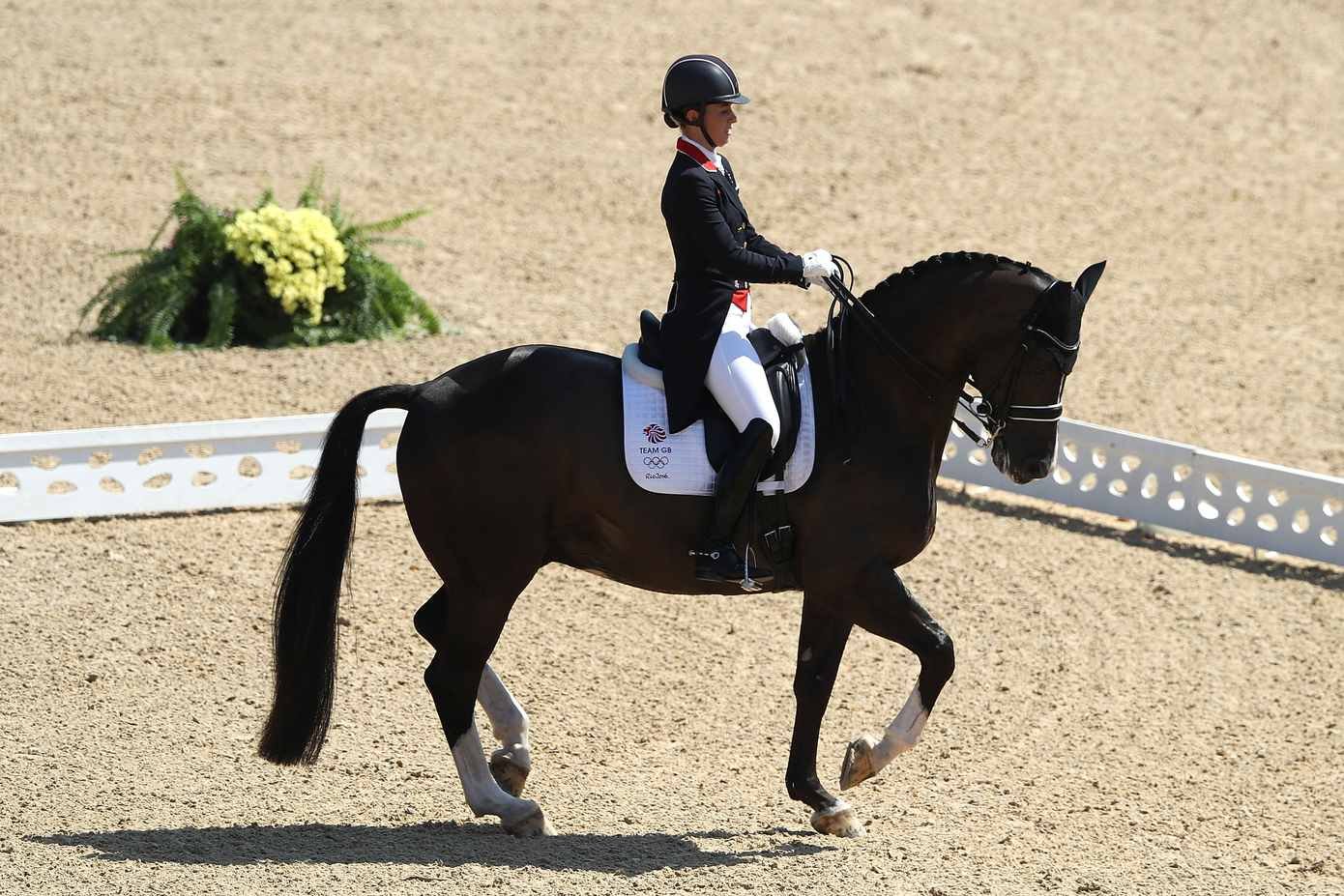 Paint Horses in Equestrian Sports: Popular Disciplines and Events