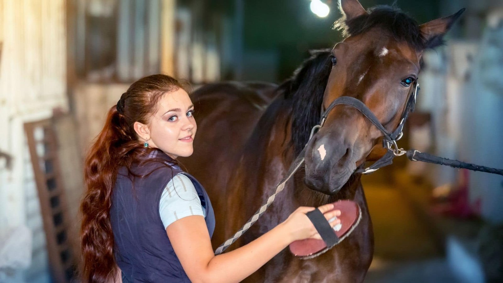 Caring for a Friesian Horse: Grooming and Health Tips