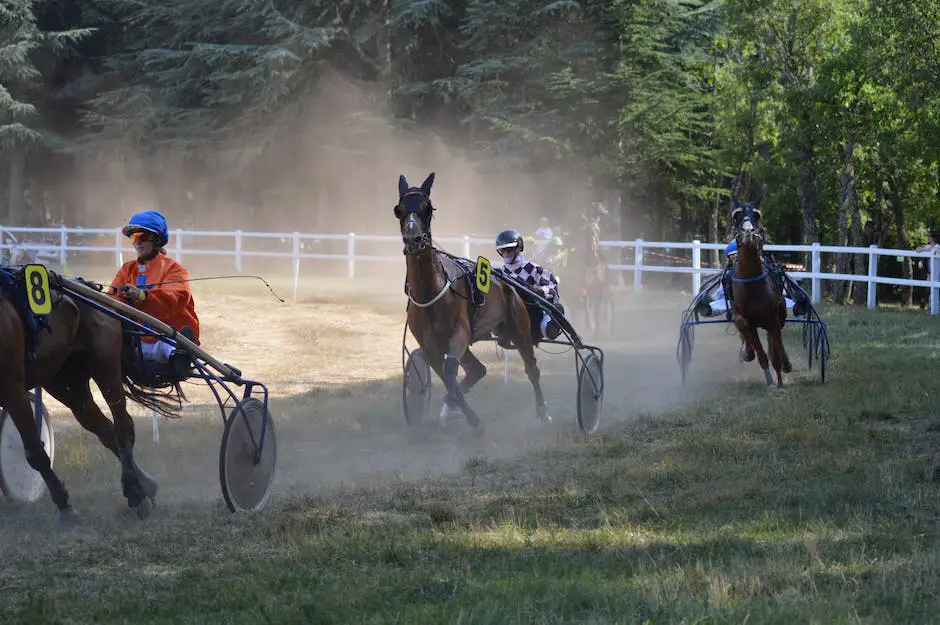 Warmbloods in Olympic Equestrian Sports: A Legacy of Excellence