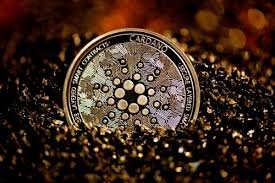 Cardano Smart Framework Checkout Compatibility Tests Casino Review at Hellspin Casino